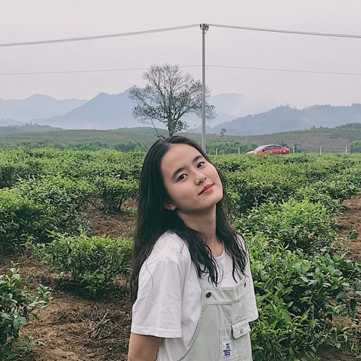 Hồng Ngọc 