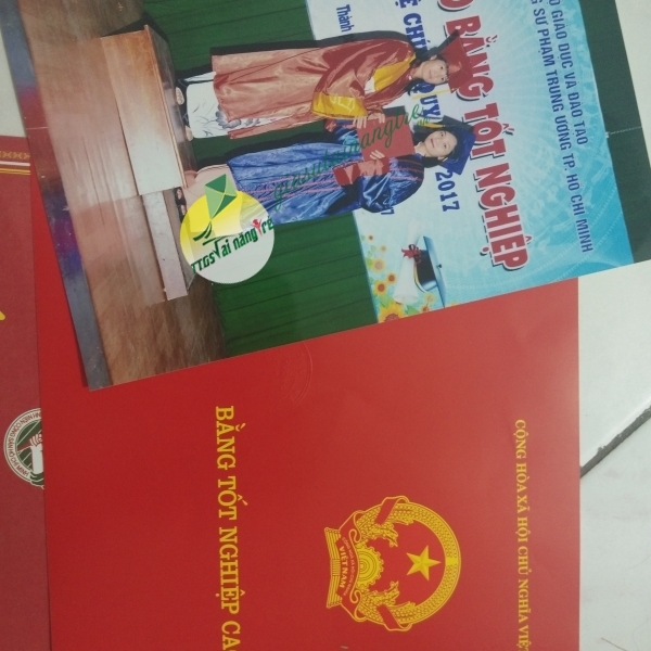 Tài khoản 8240