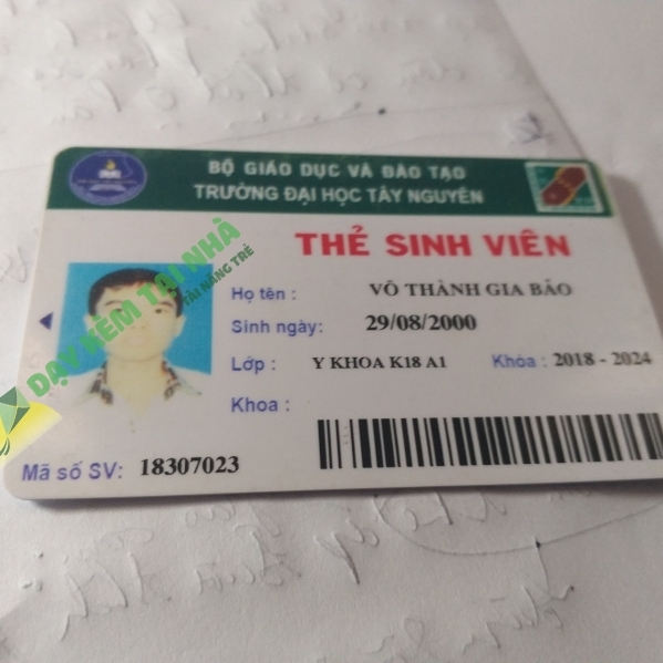 Võ Thành Gia Bảo