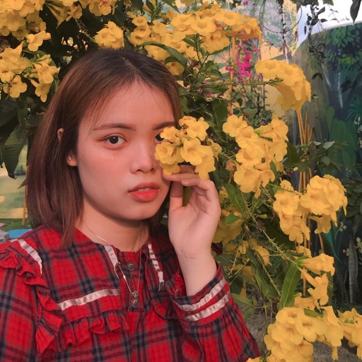 Trần Ngọc Hà
