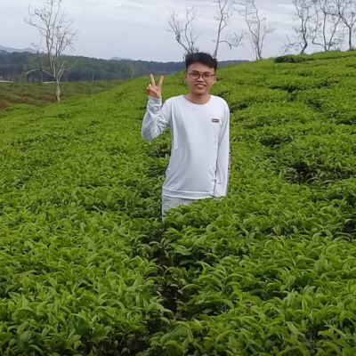 Trần Đình Nam