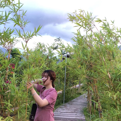 Huỳnh Tuyết Anh