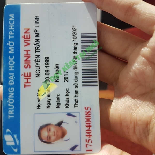 Nguyễn Trần Mỹ Linh