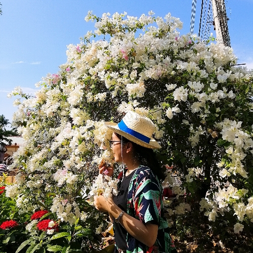 Trần Ngọc Diễm Châu