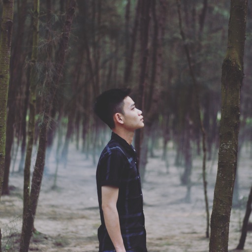 Nguyễn thế Huy