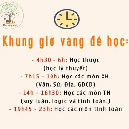 Tài khoản 3401