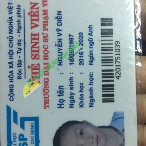 Nguyễn Vỹ Diễn