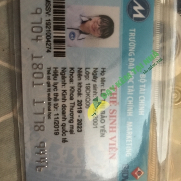 Lê Thị Bảo Yến