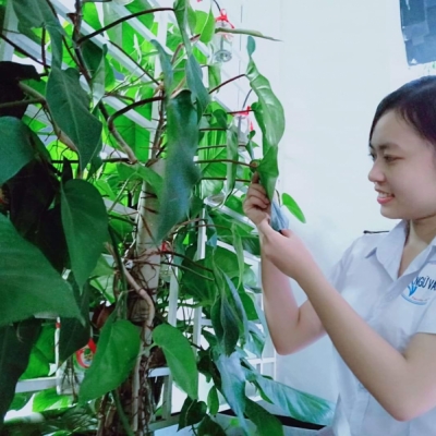 Võ Thị Kiều Trang