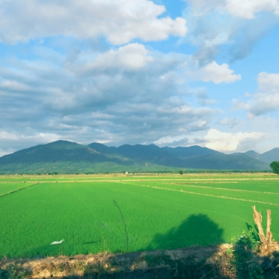 Lê Thị Ý Nhi