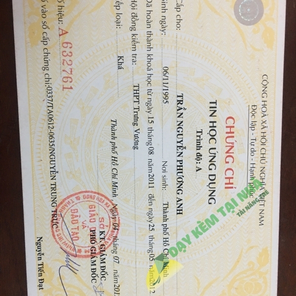 Trần Nguyễn Phương anh
