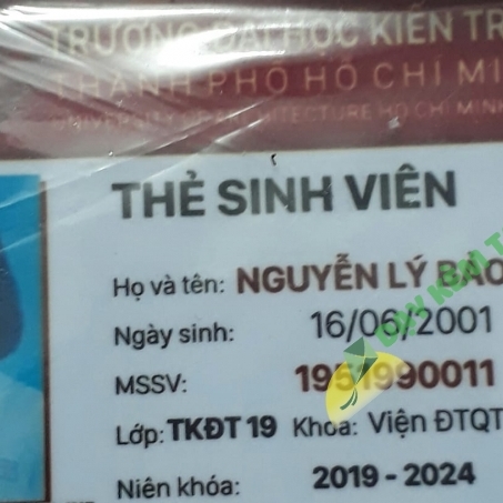 nguyễn lý bảo ngọc