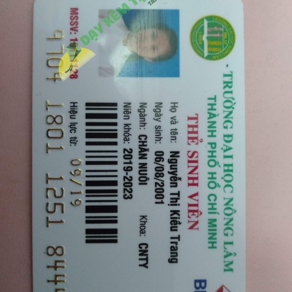 Nguyễn Thị Kiều Trang 