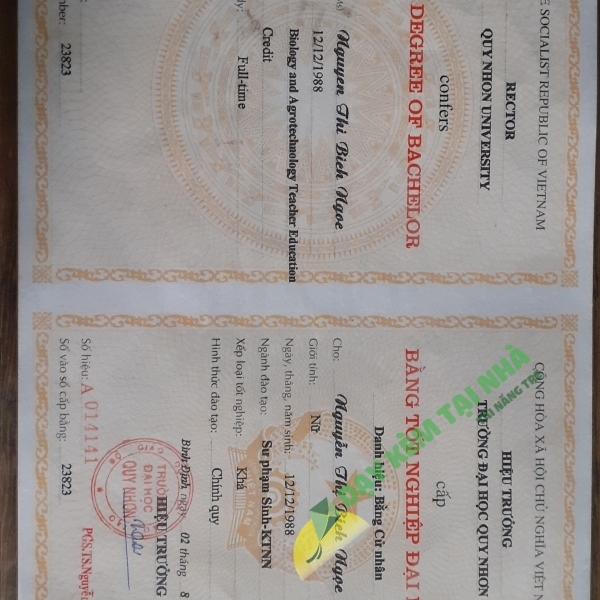 Nguyễn Thị Bích Ngọc