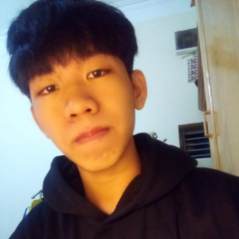 Trần Việt Hoàng