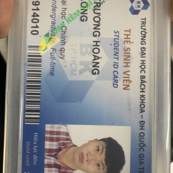 Trương Hoàng Long