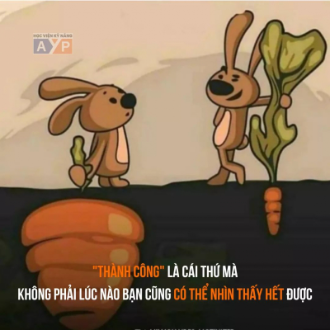 NVT Luân