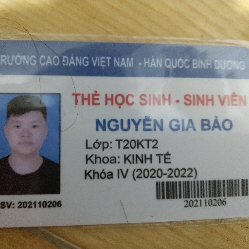 Nguyễn Gia Bảo