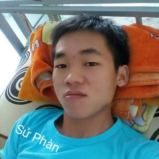 Sử Phàn
