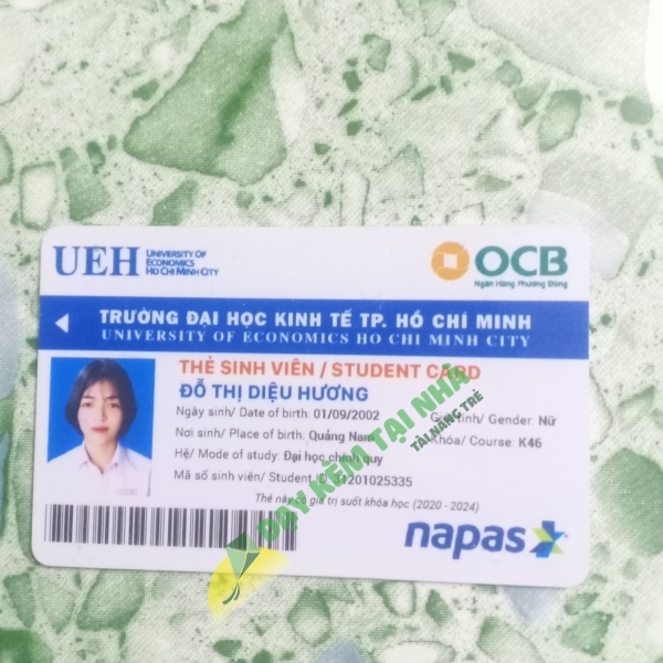 Đỗ Thị Diệu Hương