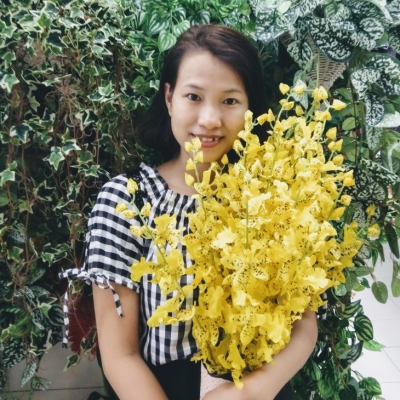 trần thị liễu thu