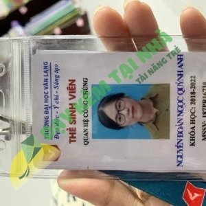 Nguyễn Đoàn Ngọc Quỳnh Anh