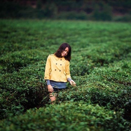 Hồ Thị Anh Thư