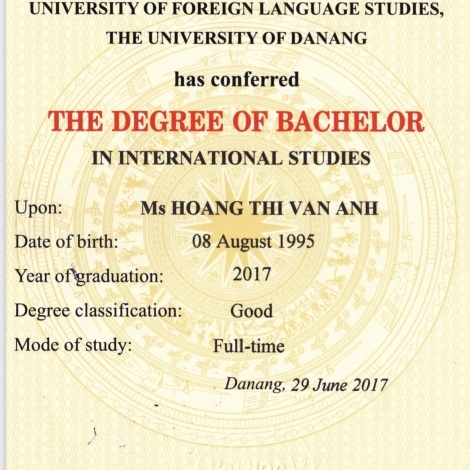 Hoàng Thị Vân Anh