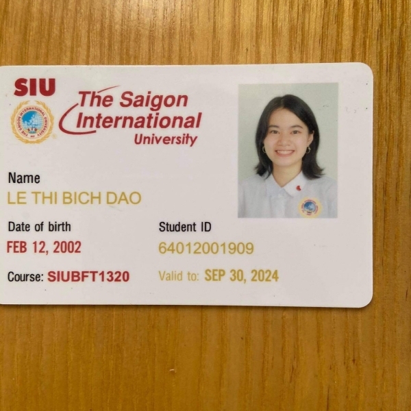 Lê Thị Bích Đào