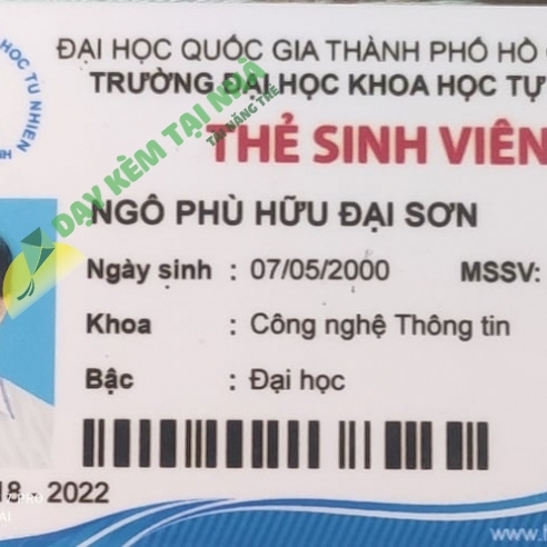 Ngô Phù Hữu Đại Son