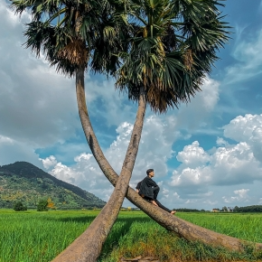 Trần Thái Tứ