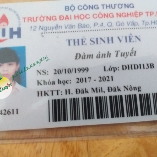 Đàm ánh tuyết