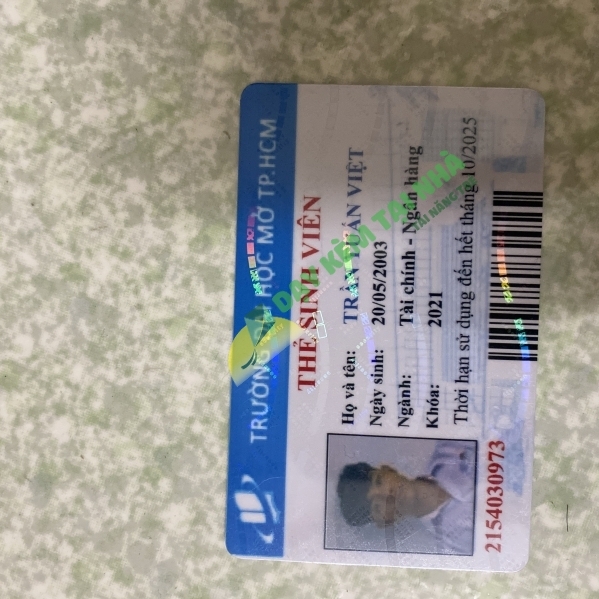 Trần Tuấn Việt