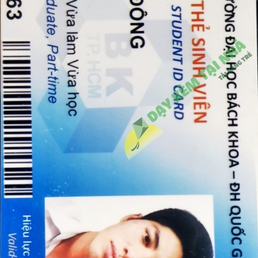 Trần Đông Hải