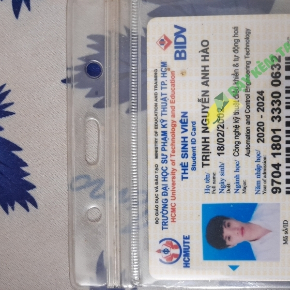 Trịnh nguyễn Anh Hào