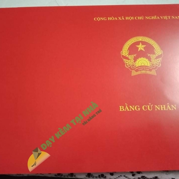 Tài khoản 1264