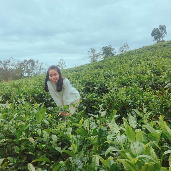 Trần Hoàng Thảo Nhi