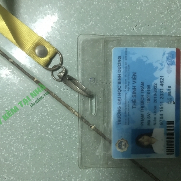 Phạm Thị Bích Trâm