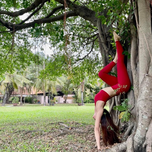 Phan Thị Kim Huệ