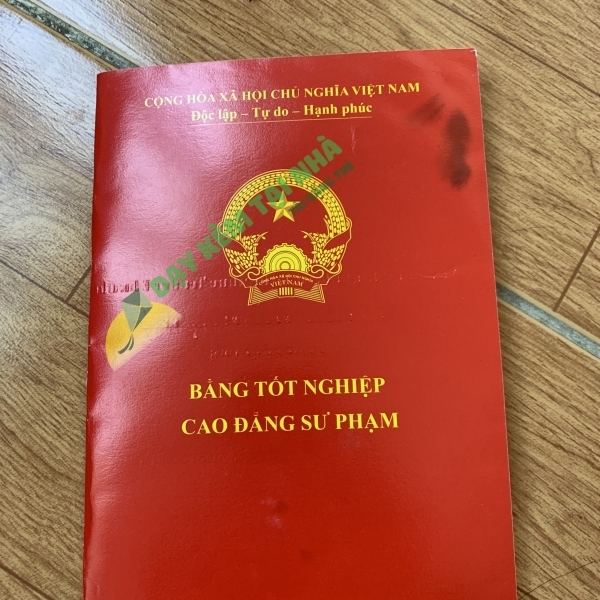 Nguyễn Phan Phương Thúy