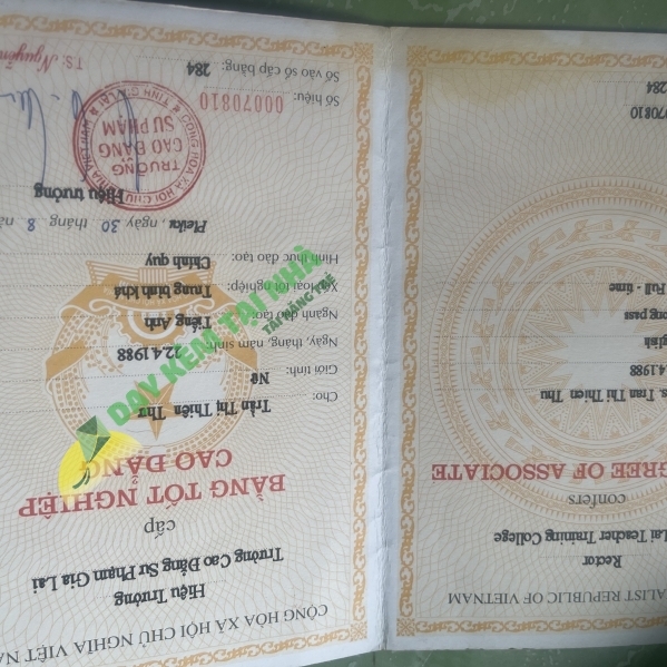 Trần Thị Thiên Thư