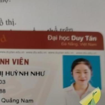 Thái Thị Huỳnh Như