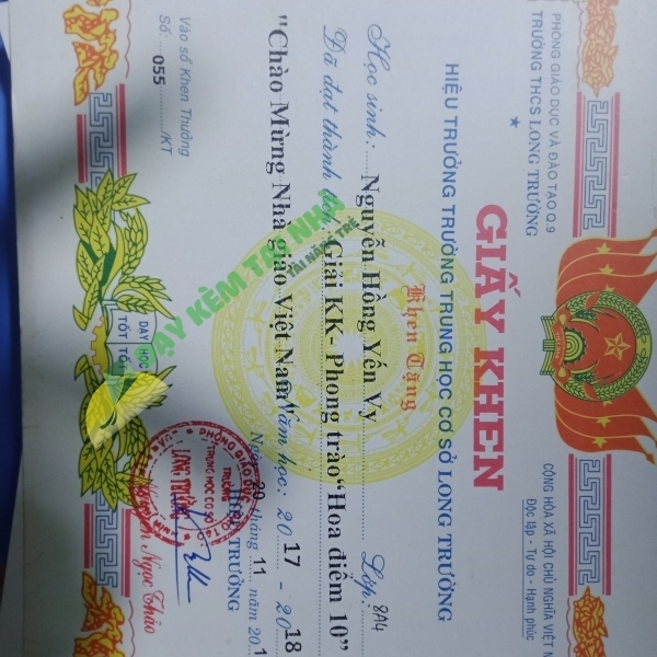 Nguyễn Hồng Yến Vy