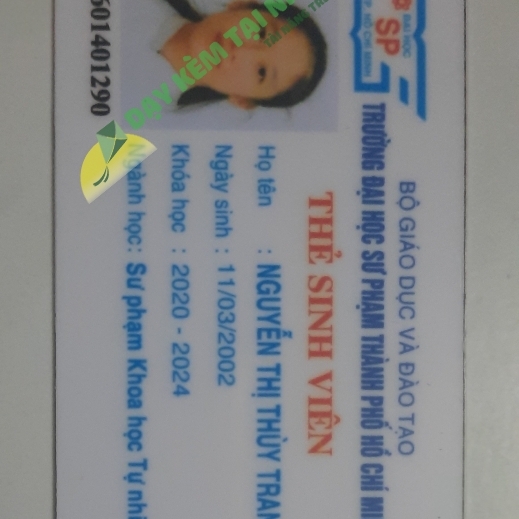 Nguyễn Thị Thùy Trang