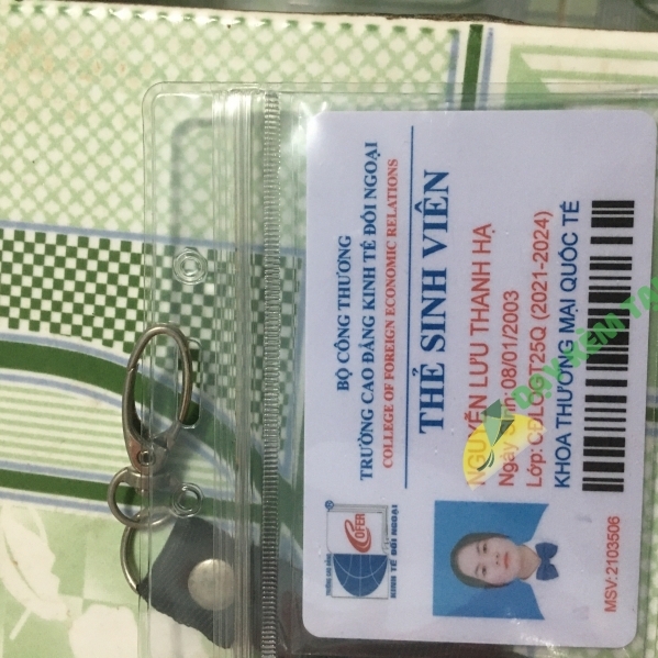 Nguyễn Lưu Thanh Hạ