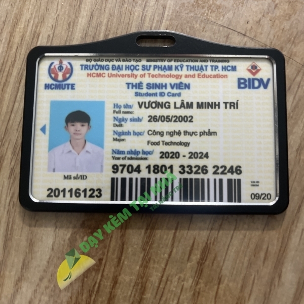Vương Lâm Minh Trí 