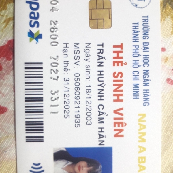 Trần Huỳnh Cẩm Hân