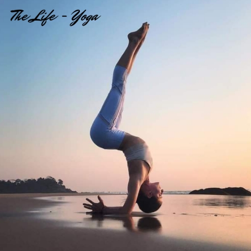 Thùy Emma - The Life - Yoga 