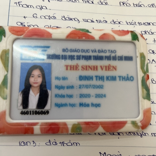 Đinh Thị Kim Thảo