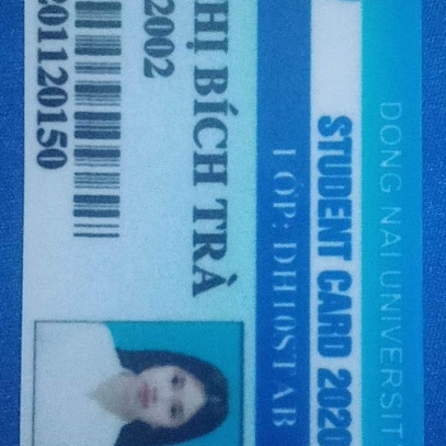 Vũ Thị Bích Trà